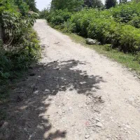 زمین ۸۴۰ متری در جاده ماسوله|فروش زمین و ملک کلنگی|ماکلوان, |دیوار