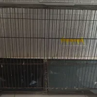 یک قفس بزرگ و یک قفس پرون