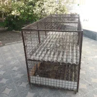 قفسه مرغ دو طبقه|لوازم جانبی حیوانات|دره شهر, |دیوار