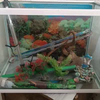 اکواریوم دور خم خیلی تمیز بدون ایراد|ماهی|سهند, |دیوار