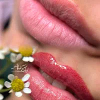 شیدینگ لب،تینت لب