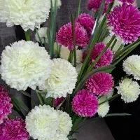 ۶ شاخه گل خارجی|گل مصنوعی|شاهین‌شهر, حافظ جنوبی|دیوار