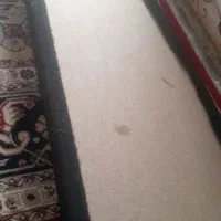 باکس باند ماشین فروشی