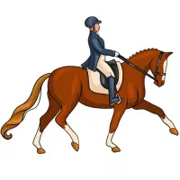 باشگاه سوارکاری (آموزش ، پانسیون)