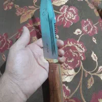 کمپین وکوهنوردی