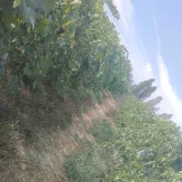 باغ