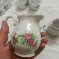 ظروف گل سرخی|ظروف سرو و پذیرایی|اراک, |دیوار