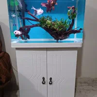 آکواریوم دلسا k580 همراه ماهی