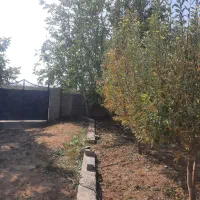 باغچه250متری-جابان