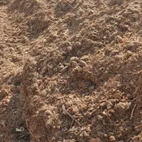 فروش کود اسبی