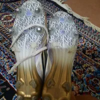 F50|کیف، کفش، کمربند|کرمان, |دیوار