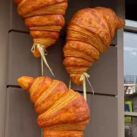 نیروی بیکری محدوده آفرینش