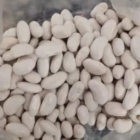 لوبیا قرمز و سفید|عمدهفروشی|ازنا, |دیوار