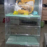 قفس پرنده