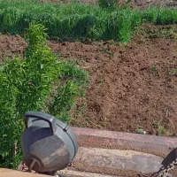 کاربا تراکتور باغی رونتواتور|خدمات باغبانی و درختکاری|قزوین, |دیوار