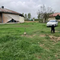 خانه-کلنگی-700متری-نسق-دار