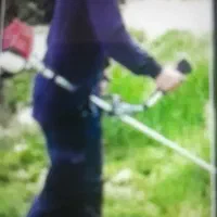حرص علف باغچه باغ