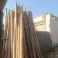 چوب