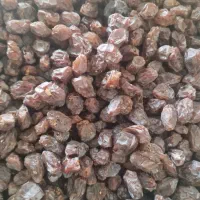 فروش انواع کشمش ومویز