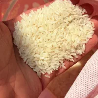 برنج پاکستانی کف قیمت