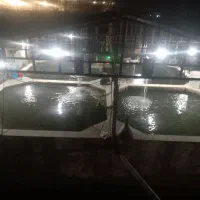 سرایداری جهت پرورش ماهی قزل آلا