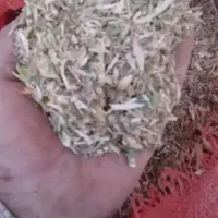 کاه لوبیا