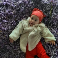 فروش زعفران نگین پوشال|حراج|زاوه, |دیوار