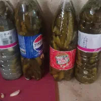 ترشی،خیارشور|خوردنی و آشامیدنی|شیراز, جوادیه|دیوار