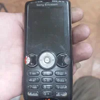 w810