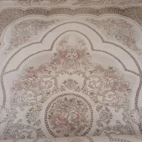 فرش گاسپین ۴ متری  حوله ای ونرم تمیز وشسته شد|فرش|تهران, تهرانسر مرکزی|دیوار