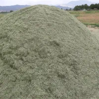 کاه سبزه یونجه خلواری ۱۰ میلیون
