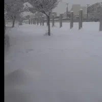 سلام خدمت دوستان