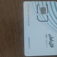 خط صفر دائمی