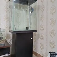 آکواریوم شرکتی