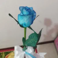 تجاری مسکونی.غفاری. ملکیت.فول