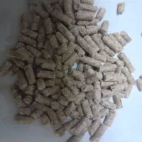 دانه پارس