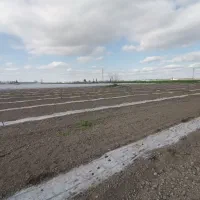 3هکتار زمین کشاورزی اجاره داده می‌شود.