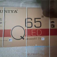 تلویزیون سونیا 65 اینچ 4K ultra|تلویزیون و پروژکتور|پرند, فاز ۵|دیوار