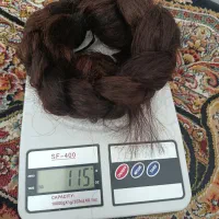 مو ۷۰سانتی طبیعی|آرایشی، بهداشتی، درمانی|شیراز, لشکری‎|دیوار
