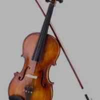 آموزش خصوصی ویولن به صورت حرفه ای