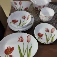 آرکوپال جمیا