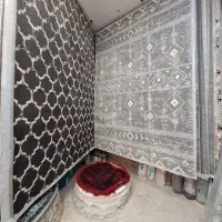 فرش کلاسیک ۶ و ۹ و ۱۲ متری پرند سبز نگارین|فرش|مشهد, امیر المومنین|دیوار