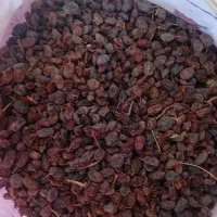 کشمش ابگیری ترو تمیز