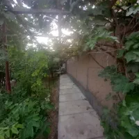 باغ خوش آب وهوا کوچه روبروی کباب شهریار(کمال آباد)