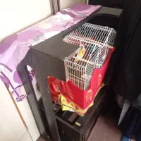 میز عسلی وجلومبلی