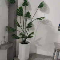 درختچه برگ‌انجیری