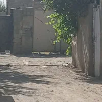 زمین ۸۱۰متری در قاسم آباد کوچک