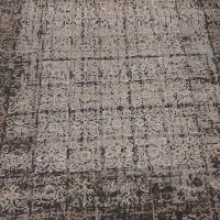 فرش|فرش|شیراز, شاه قلی بیگی|دیوار