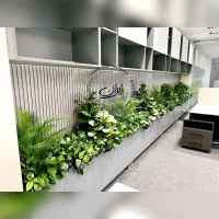 (پرنده بهشتی) بوته گیاه فلاور باکس ۱۸ شاخه|گل مصنوعی|تهران, تهرانپارس غربی|دیوار