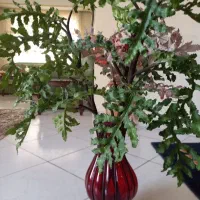 گل مصنوعی ۷۰ سانتی متر ، گلدان ۳۵ سانتی متر